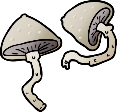 Bir insan tarafından çizilmiş vahşi mantarlar.