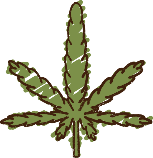 Bir insan tarafından çizilmiş marihuana Yaprak Tebeşiri