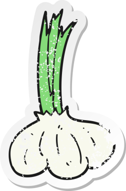 Bir insan tarafından çizilmiş sarımsak karikatürünün gerilemiş yapıştırması.