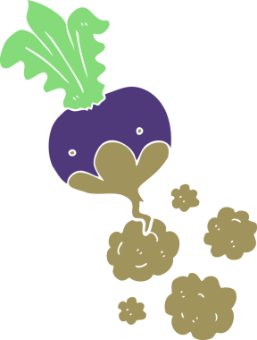 Bir insan tarafından çizilen pancarın düz renk çizimi