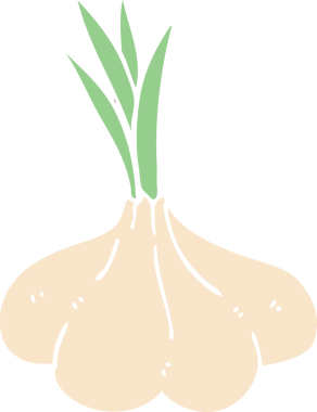 Bir insan tarafından çizilmiş karalama sarımsak soğanı.