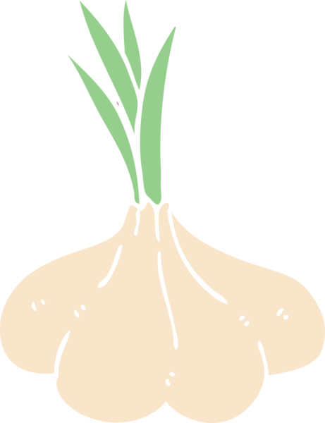 Bir insan tarafından çizilmiş karalama sarımsak soğanı.