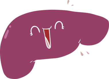 Bir insan tarafından çizilmiş düz renkli karaciğer.