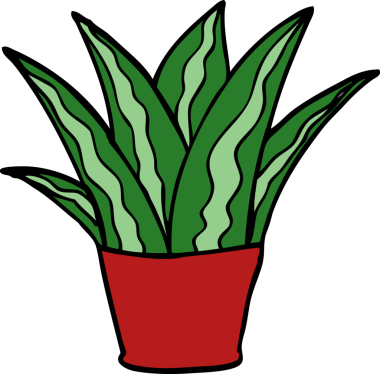 Bir insan tarafından çizilmiş karalama evi bitkisi.