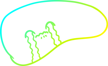 Bir insan tarafından çizilmiş karaciğerin soğuk gradyan çizimi.