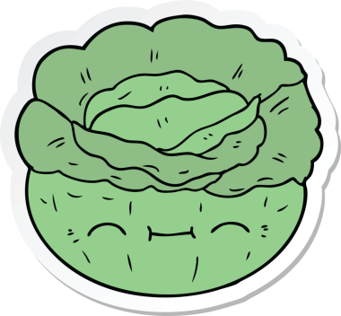 Bir insan tarafından çizilmiş bir lahananın çıkartması.