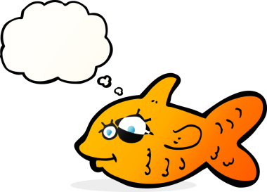 Bir insan tarafından çizilmiş düşünce balonlu mutlu Japon balığı çizgi filmi.