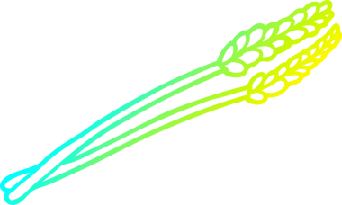 Bir insanın çizdiği buğday karikatürünün soğuk gradyan çizgisi.