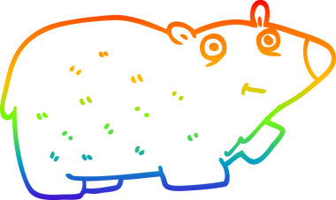 Bir insan tarafından çizilen kutup ayısının gökkuşağı gradyanı çizimi