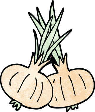 Bir insan tarafından çizilmiş karalama soğanı.