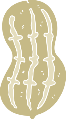 Bir insan tarafından çizilmiş yerfıstığının düz renk çizimi