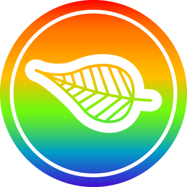 Gökkuşağı gradyan bir insan tarafından çizilmiş doğal yaprak dairesel simgesi