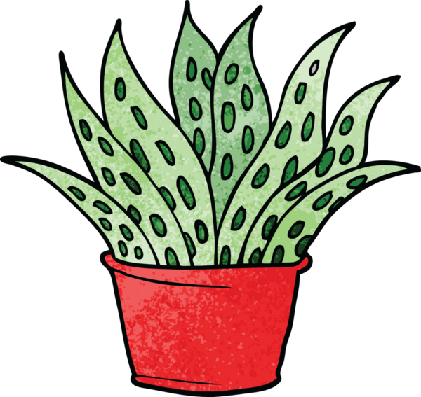 Bir insan tarafından çizilmiş karalama evi bitkisi.