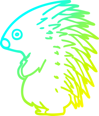 Bir insan tarafından çizilen sivri uçlu kirpinin soğuk gradyan çizimi.