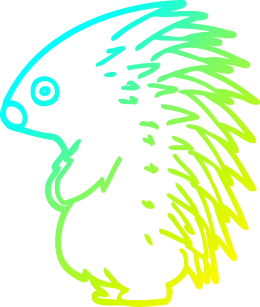 Bir insan tarafından çizilen sivri uçlu kirpinin soğuk gradyan çizimi.