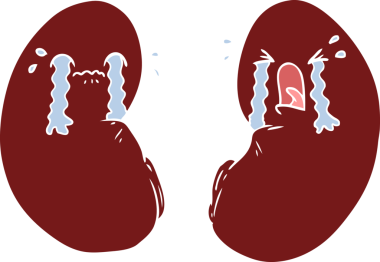 Bir insan tarafından çizilmiş düz renkli karikatür böbrekleri.