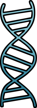Bir insan tarafından çizilen DNA iplikçiklerinin gölgeli çizimi