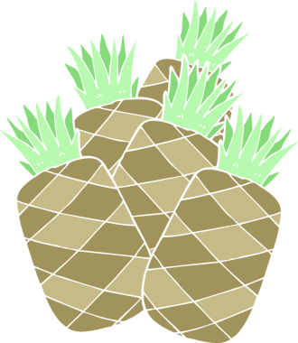 Bir insan tarafından çizilmiş ananasların düz renk çizimi