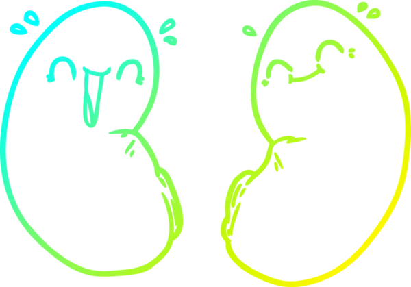 Bir insan tarafından çizilmiş mutlu böbreklerin çizimi.