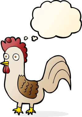 Bir insan tarafından çizilmiş düşünce kabarcığı olan çizgi film horozu.