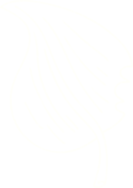 Bir insan tarafından çizilen Yaprak Tebeşiri