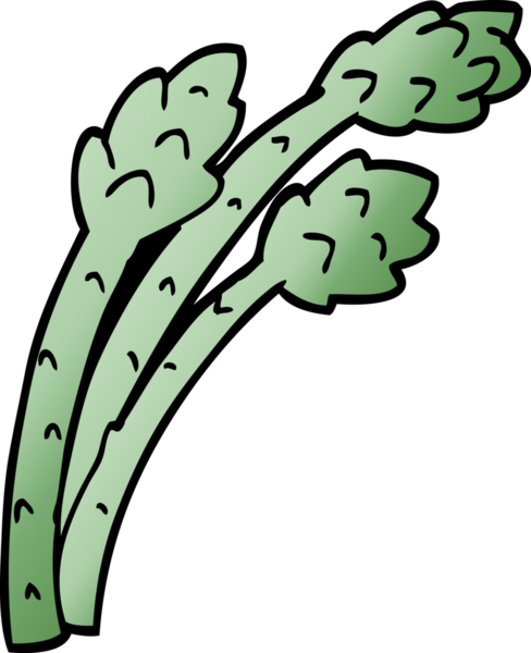 bir insan tarafından çizilmiş karalama kuşkonmaz bitkisi