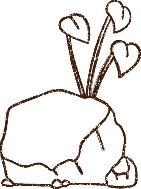 Bir insan tarafından çizilen Kaya Kömürü Çizimi