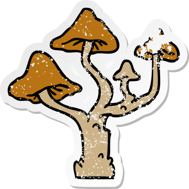 Bir insan tarafından çizilmiş büyüyen mantarların karalanmış el yazısı.