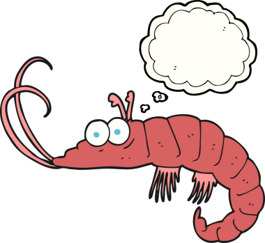 Bir insan tarafından çizilmiş serbest çizim baloncuklu karides.