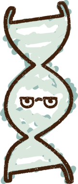 Bir insan tarafından çizilen DNA Strand Tebeşiri