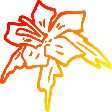 Bir insanın çizdiği egzotik bir çiçeğin sıcak çizgi çizimi