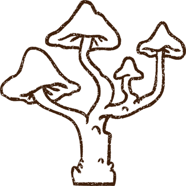 Bir insan tarafından çizilmiş garip mantar kömürü çizimi