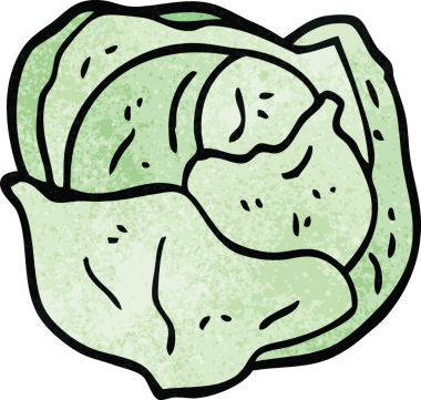 Bir insan tarafından çizilmiş organik marul.