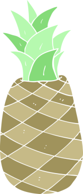 Bir insan tarafından çizilmiş ananasın düz renk çizimi