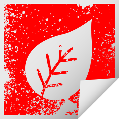 Bir insan tarafından çizilmiş bir sonbahar yaprağının kare soyma etiketi.