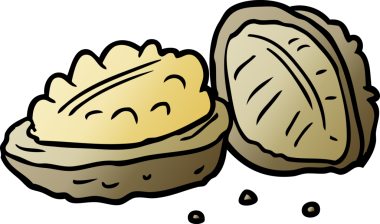 Bir insan tarafından çizilmiş cevizler.