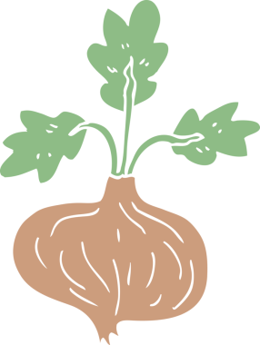 Bir insan tarafından çizilmiş eski bir soğanı karala