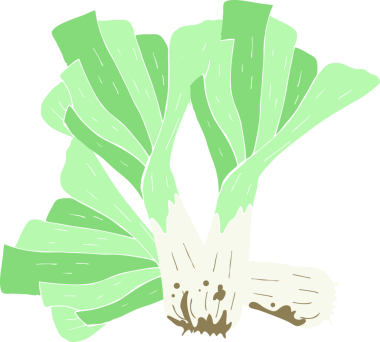 Bir insan tarafından çizilen pırasaların düz renk çizimi