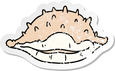 Bir insan tarafından çizilmiş deniz kabuğunun çizilmiş bir karikatürü.