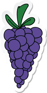 Bir insan tarafından çizilmiş bir demet üzümün garip el yazısı.