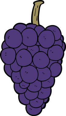 Bir insan tarafından çizilmiş üzümler.