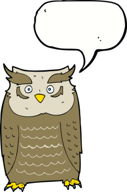 bir insan tarafından çizilmiş konuşma baloncuklu bir baykuş.