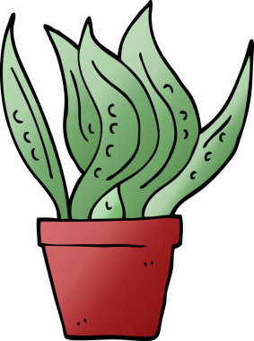 Bir insan tarafından çizilmiş karalama evi bitkisi.