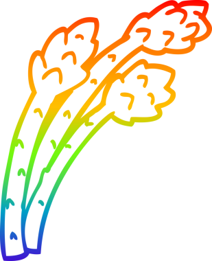 Bir insan tarafından çizilmiş kuşkonmaz çizgi çizimi.