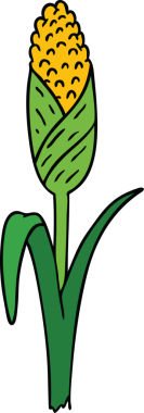 Bir insanın çizdiği koçandaki taze mısırın el çizimi karikatürü.