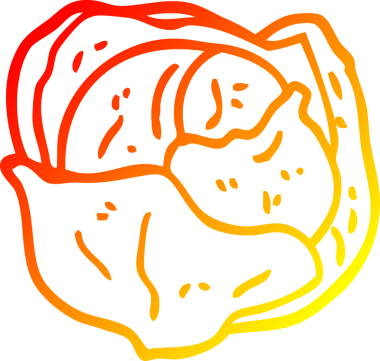 Bir insan tarafından çizilmiş organik bir marulun sıcak çizgi çizimi