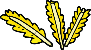 bir insan tarafından çizilmiş mısırın karalama kulakları