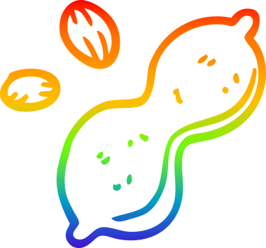 gökkuşağı gradyan çizgi çizimi bir insan tarafından çizilmiş fıstık ve kabuk