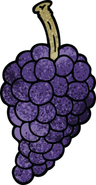 Bir insan tarafından çizilmiş bir demet üzüm.