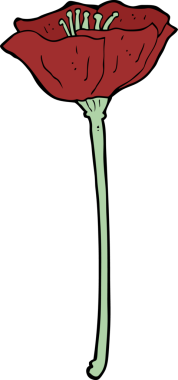 Bir insan tarafından çizilmiş gelincik.